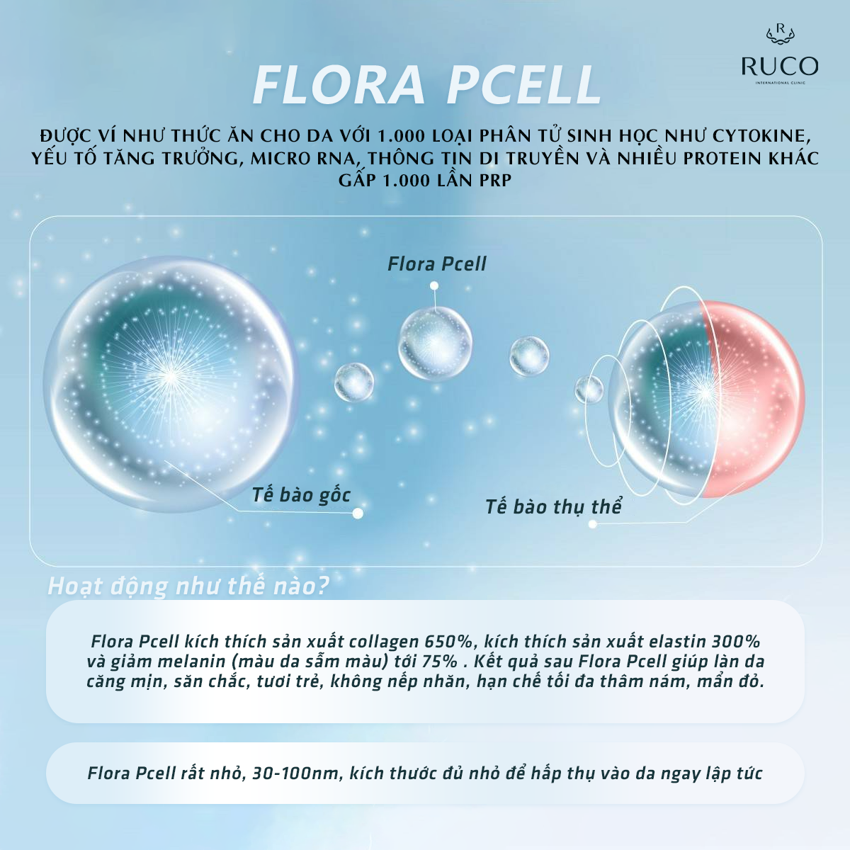 hoạt động của flora pcell trong trẻ hoá tái tạo làn da