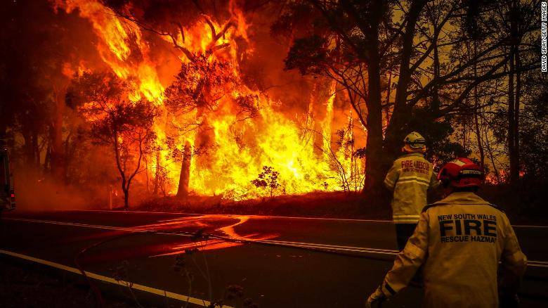 Cháy rừng - thảm họa của nhân loại